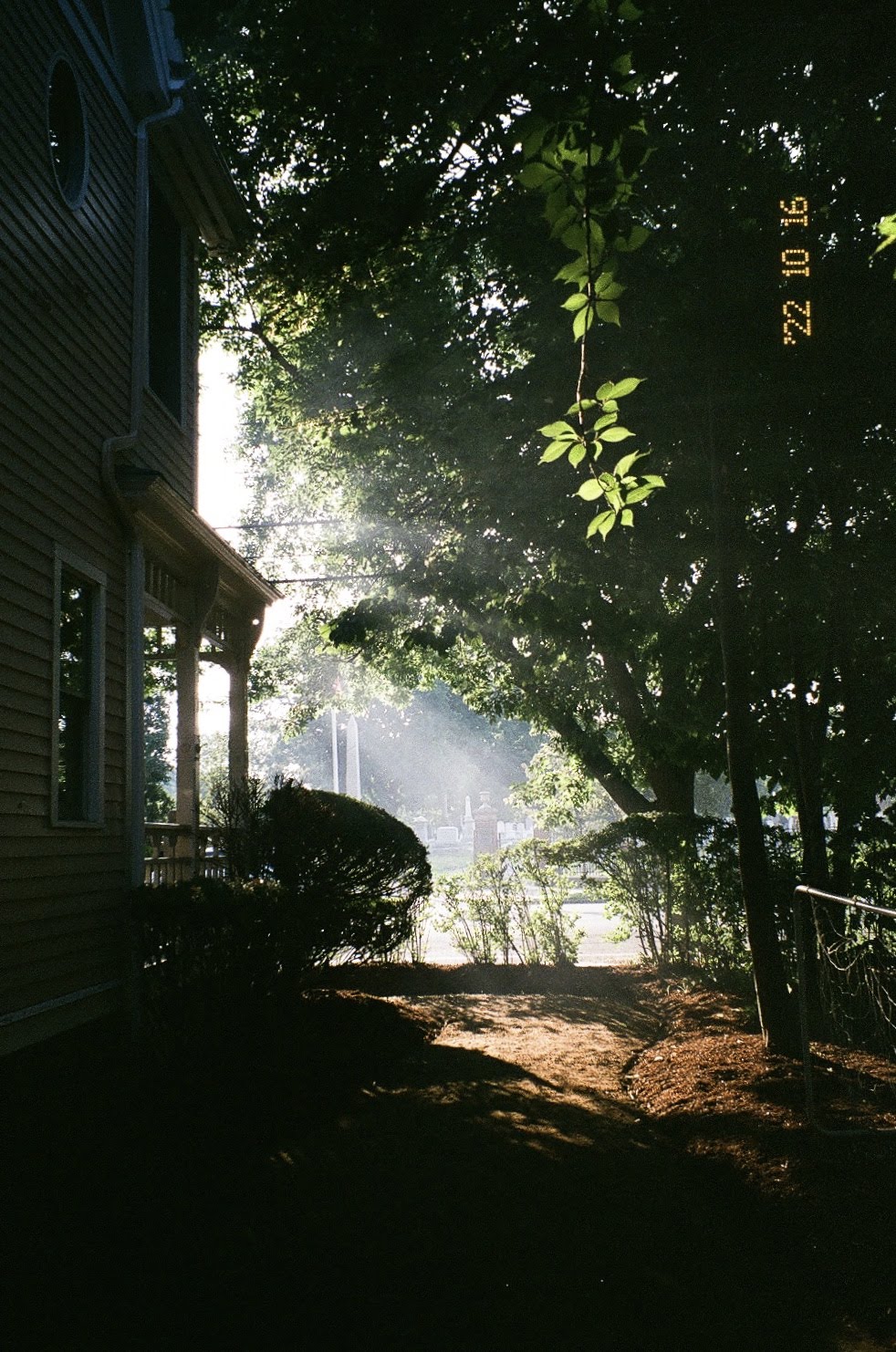 Film photo of backyard with soft lighting