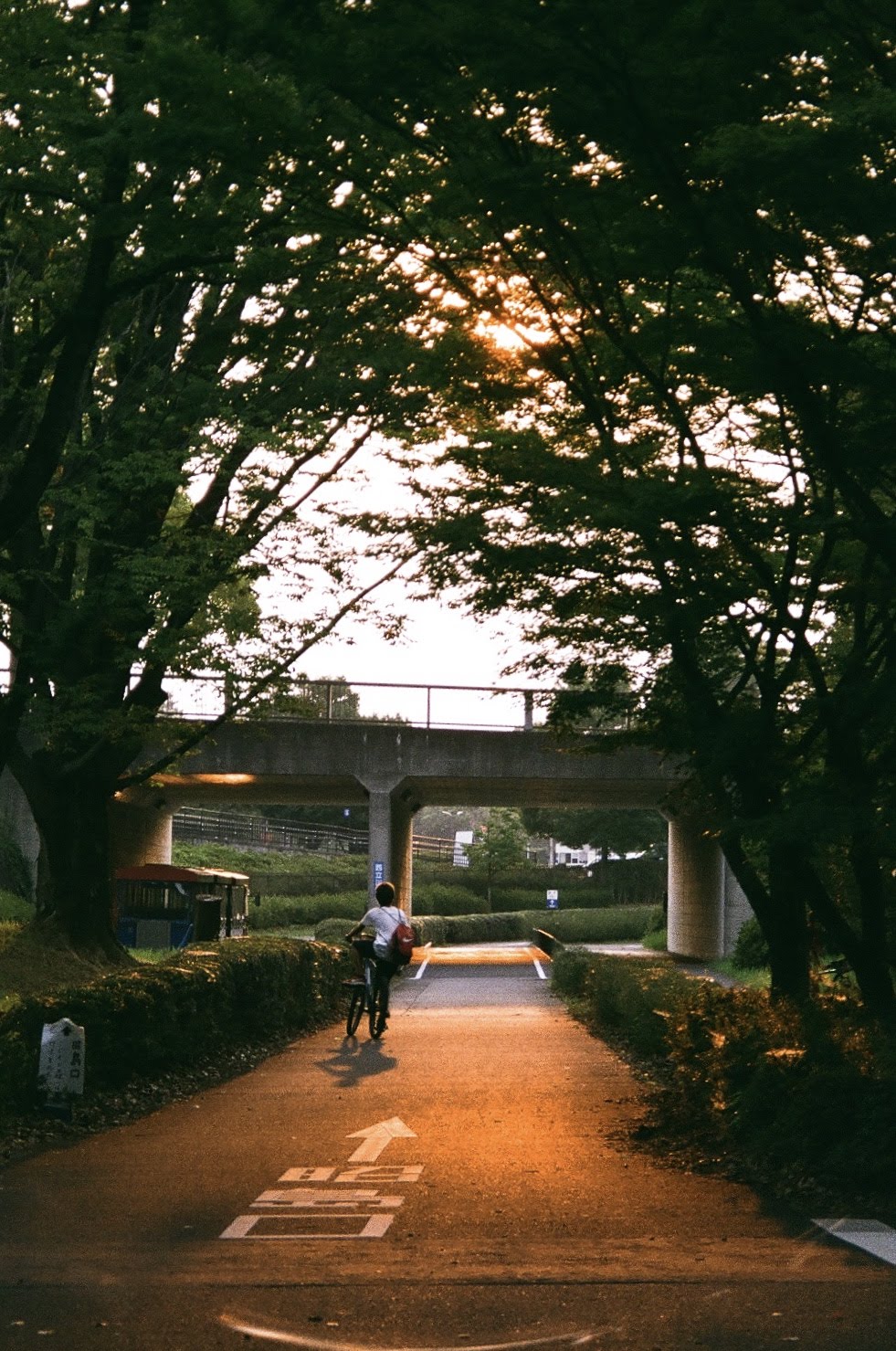 Photo of a bike