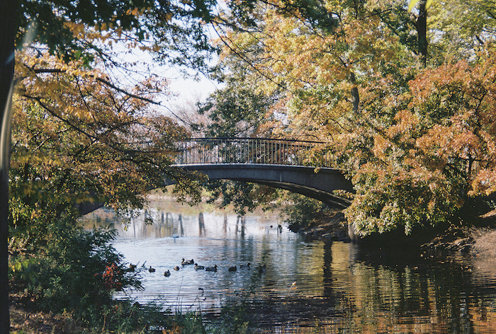 Photo of the charles river