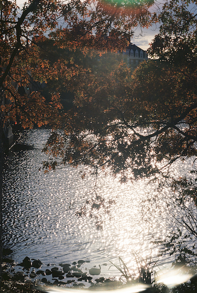 Photo of fall gleam