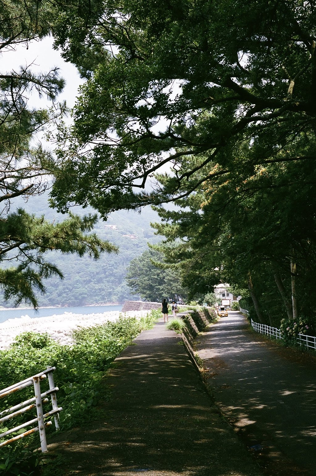 Photo of summer lake