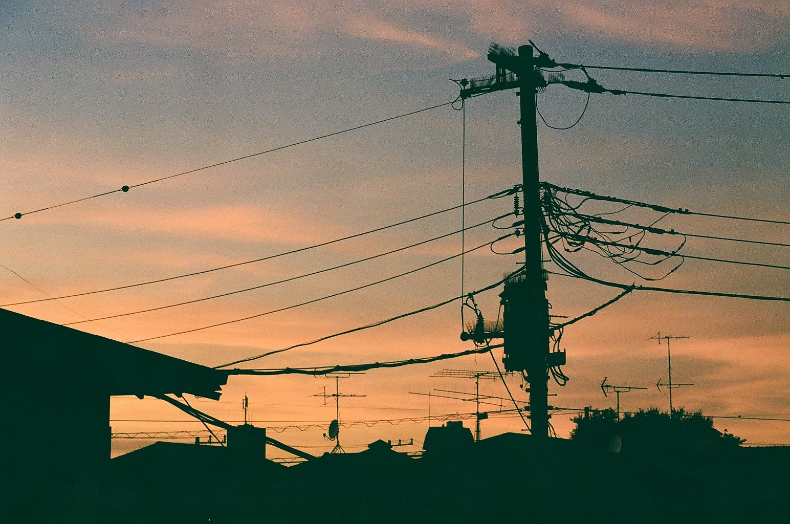 Photo of the sunset